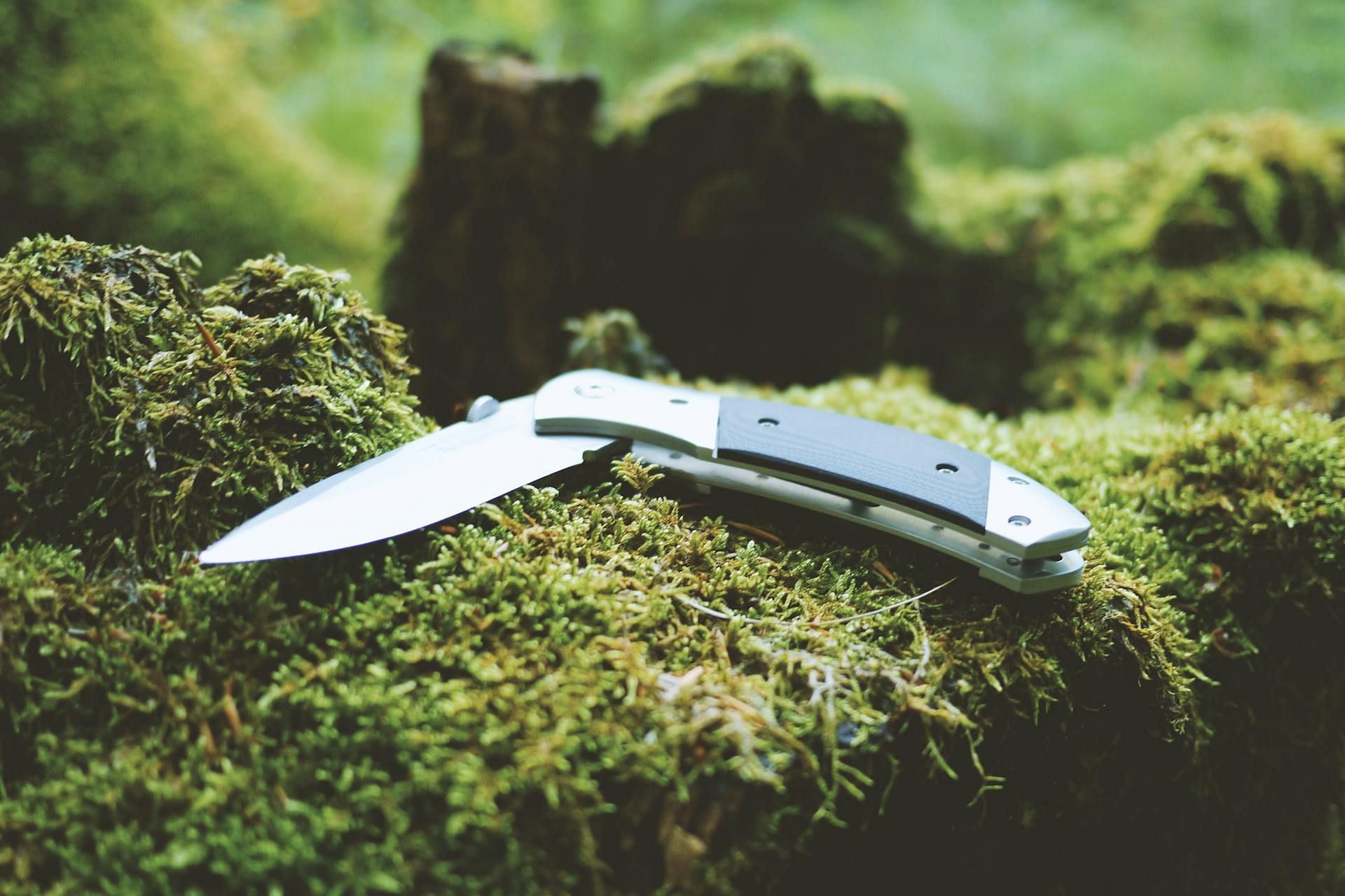 Cathy was stabbed multiple times with a knife (Image via Pexels)